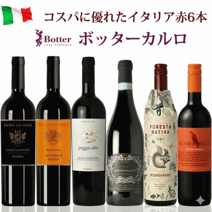 イタリアワインセット 赤ワイン 6本 飲み比べ セット ボッターカルロ 辛口 デイリーワイン [店主厳選 コスパ抜群 750ml×6]　送料無料