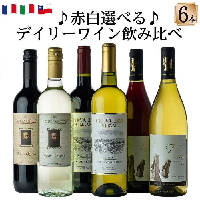 デイリーで楽しむ ワイン 三大銘酒産地 フランス イタリア チリ 店主厳選 ワインセット 飲み比べ 6本 送料無料 750ml