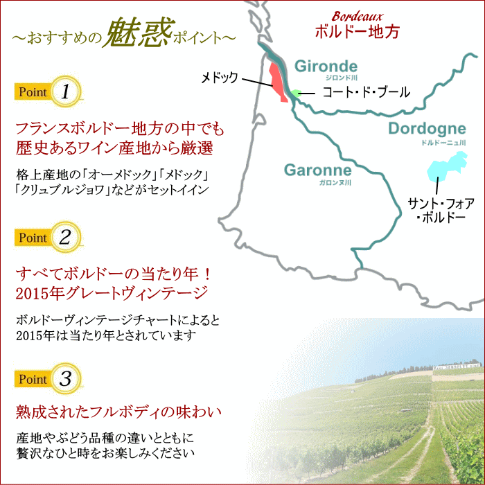至高の ボルドー 赤ワイン 6本 セット 飲み比べ メドック ワインセット 送料無料 ワイン 福袋 mzt-10050479 ワインショップアクアヴィタエ サンプル画像3