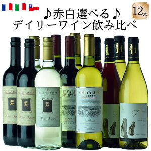 デイリーで楽しむ ワイン 三大銘酒産地 フランス イタリア チリ 店主厳選 ワインセット 飲み比べ 12本 送料無料 750ml