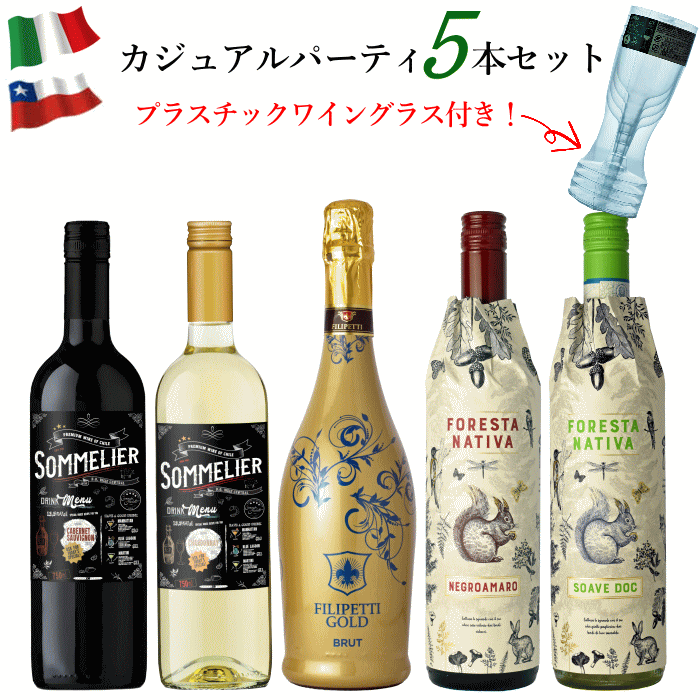 カジュアルパーティ 5本セット ワインセット 赤 白 泡 送料無料 bbq スパークリングワイン ワイン バー..