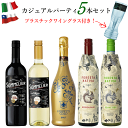 カジュアルパーティ 5本セット ワインセット 赤 白 泡 送料無料 bbq スパークリングワイン ワイン バーベキュー グランピング 女子会 家飲み 夏 GW おすすめ 持ち物 差し入れ