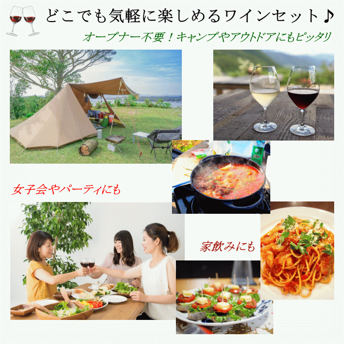 カジュアルパーティ 5本セット ワインセット 赤 白 泡 送料無料 bbq スパークリングワイン ワイン バーベキュー グランピング 女子会 家飲み 夏 GW おすすめ 持ち物 差し入れ mzt-10051244 ワインショップアクアヴィタエ サンプル画像2