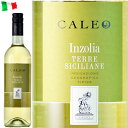 カレオ インツォーリア ワイン 白 イタリア テッレ・シチリアーネIGT 750ml ボッター・カルロ