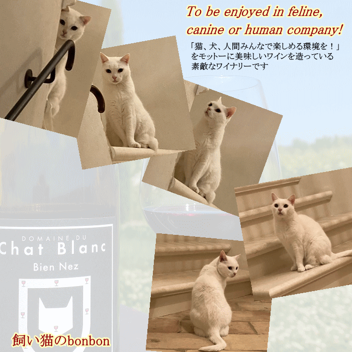 サンプル画像3