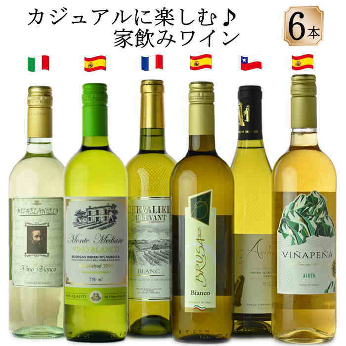 店主厳選有名産国デイリー白ワイン6本　フランスイタリアスペインチリ　味品質価格こだわりのワインセット 　飲み比べ