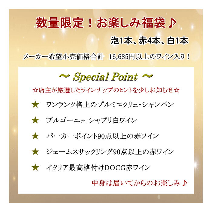 ワイン 福袋 A 2024 送料無料 6本 ミックス ワインセット ブルゴーニュ シャンパーニュ 赤ワイン 飲み比べ セット 2