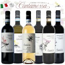 自然派オーガニックワイン カンタメッサ6本セット イタリア・ピエモンテ
