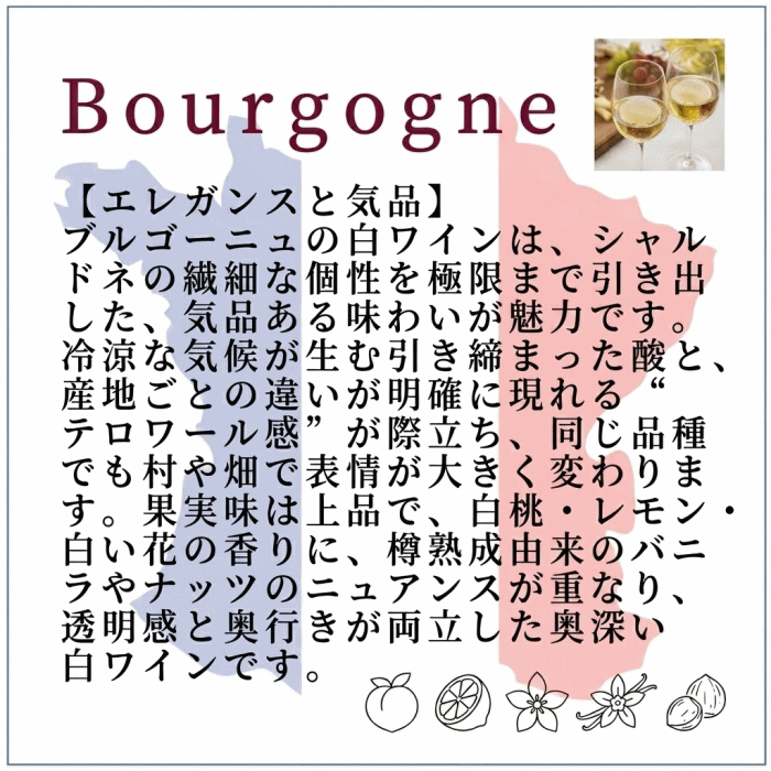 ルイ・ド・ロージュロン 白 ブルゴーニュ シャルドネ ワイン フランス 白ワイン 750ml mzt-10051704 ワインショップアクアヴィタエ サンプル画像3