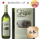 シャトー勝沼 カツヌマ・グレープ ブラン 白 6本 720ml ワイン ノンアルコール c