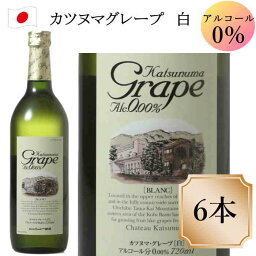 シャトー勝沼 カツヌマ・グレープ ブラン 白 6本 720ml ワイン ノンアルコール　c