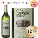 シャトー勝沼 カツヌマ グレープ ブラン 白 ワイン ノンアルコール ワイン 12本 セット 720ml cスクリュー栓 ノンアルワイン