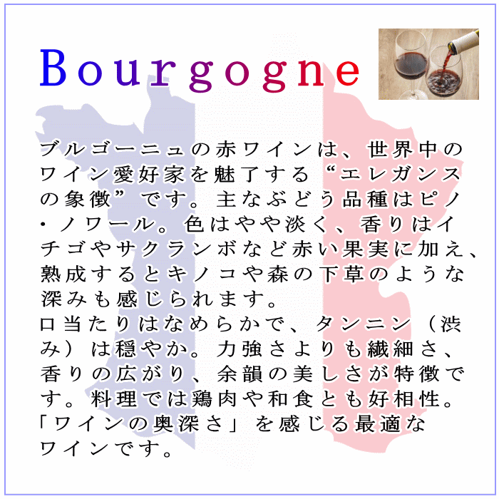 ルイ・ド・ロージュロン 赤 ブルゴーニュ ピノ・ノワール ワイン フランス 赤ワイン 750ml mzt-10051192 ワインショップアクアヴィタエ サンプル画像3