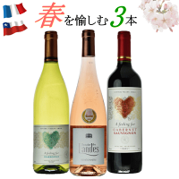 春 ワイン 3本セット 赤 白 ロゼ ミックス フランス チリ ワインセット 送料無料
