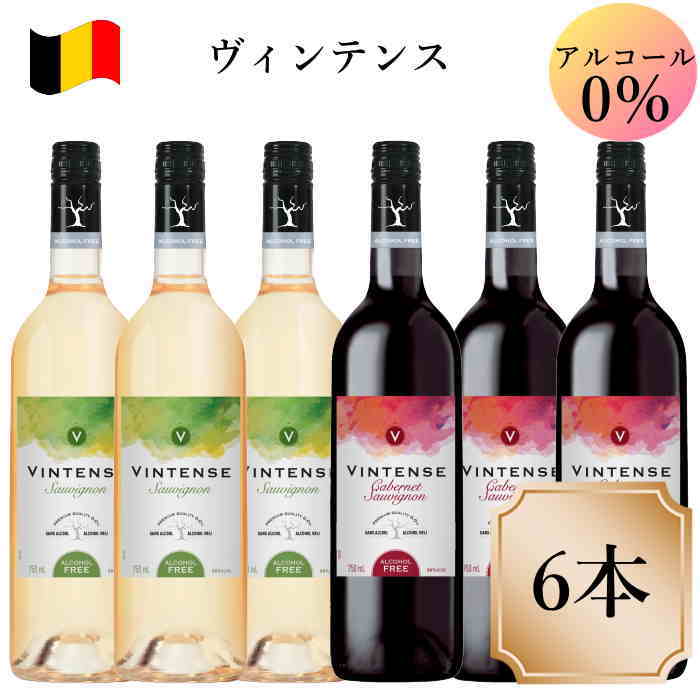 楽天デイリーワインのアクアヴィタエヴィンテンス ベルギー ネオブュル社 ノンアルコールワイン 6本セット 750ml