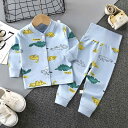 パジャマ キッズ ルームウェア 部屋着 春秋 ベビー 綿 赤ちゃん 男の子 女の子 長袖 イチゴ 恐竜 パンダ