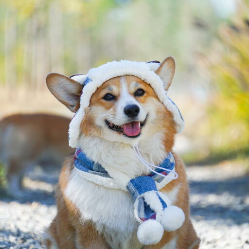 フライトキャップ パイロット 帽子 スカーフ 防寒 ペット用品 犬 秋冬 ブルー レッド 暖かい チェック フライトキャップ パイロット 帽子 スカーフ 防寒 ペット用品 犬 秋冬 ブルー レッド 暖かい チェック