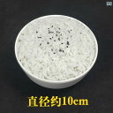 食品サンプル 中華料理 ディスプレイ 雑貨 リアル 模型 フェイクフード レプリカ レストラン 食堂 飲食店 ホテル 置物 小道具 見本 展示 販促 写真 映画...