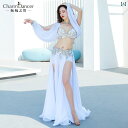 ベリーダンス 衣装 セット レディース コスチューム ステージ パフォーマンス 発表会 チョリ ブラトップ ロングスカート スリット 広がる 長袖 ビジュー キ...