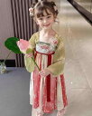 キッズ ワンピース ピンク かわいい 子供服 スーパー フェアリー 漢服 プリンセス ドレス 春秋 刺繍 中華風 伝統 スカート ベビー レトロ 古代 衣装 100cm~150cm