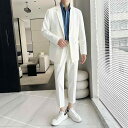 メンズ スーツ セット ジャケット ブレザー ツーピース ズボン パンツ ロング シャツ カットソー 春夏 男性 パーティー ステージ パフォーマンス 司会 歌...