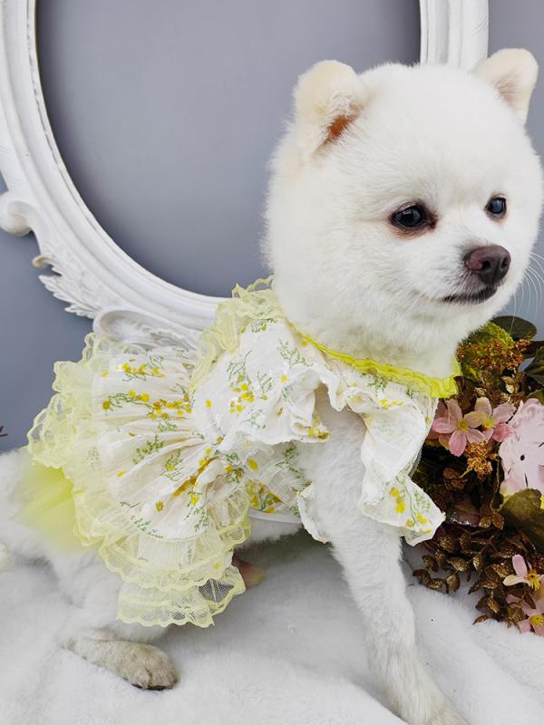 ペット ドレス ワンちゃん 猫ちゃん 写真撮影 衣装 おしゃれ 個性的 ペット 子犬 春 薄手 ドレス リトルテディ プリンセス ドレス ポメラニアン ヨークシャー かわいい 服 小花柄 フリル かわいい おしゃれ着 お出掛け着