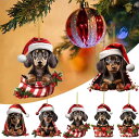 カーアクセサリー かわいい 犬 キャラクターデザイン アクリル製 平面 ミニサイズ ユニーク 吊り下げ式 チャーム クリスマスツリーオーナメント 車内装飾品 デコレーション 小物(x2)