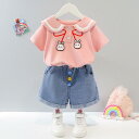 キッズ 女の子 セットアップ 半袖 ショートパンツ 襟付き うさぎ柄 綿素材 薄手 春夏 ルームウェア 普段着 韓国風 おしゃれ かわいい 2点セット