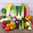 食品サンプル 野菜 フルーツ 模型 軽量 発泡スチロール製 キッチンディスプレイ 撮影小道具 店舗装飾 白菜 青菜 唐辛子 とうもろこし カリフラワー 大根 きのこ 置物 飾り