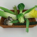 食品サンプル リアル 野菜 フルーツ フェイク模型 軽量 PU製 ディスプレイ 飾り 店舗用 ショーケース インテリア 撮影小物 レタス キャベツ 白菜 ナス きゅうり ブロッコリー りんご バナナ ダミー