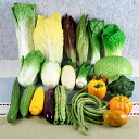 食品サンプル リアルな 野菜 果物 フェイク 軽量PU製 ディスプレイ用 店舗装飾 インテリア 置物 撮影小道具 モデルルーム飾り