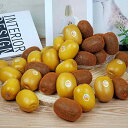 食品サンプル キウイ ゴールデンキウイ フェイクフルーツ リアル ディスプレイ オブジェ インテリア キッチン 店舗装飾 撮影小物 ダミーフルーツ(x2)