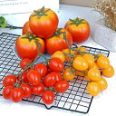 食品サンプル ミニトマト 串 フェイクフルーツ リアル 模型 ソフトPVC 撮影用小道具 インテリア ディスプレイ 子供 キッズ 知育玩具 おままごとセット 本...