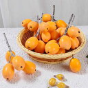 食品サンプル フルーツ模型 キッズ 子供用 リアルなフェイク枇杷 置物 おもちゃ 店舗用 ディスプレイ 装飾 飾り付け 撮影小物 プラスチック 発泡スチロール ...