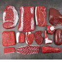 食品サンプル フェイクミート 肉模型 豚肉 牛肉 生肉 スライス ブロック 豚バラ肉 牛バラ肉 スペアリブ 豚足 豚心臓 豚舌 豚レバー ディスプレイ 店舗装飾 リアル 精巧 PVC素材 撮影小物