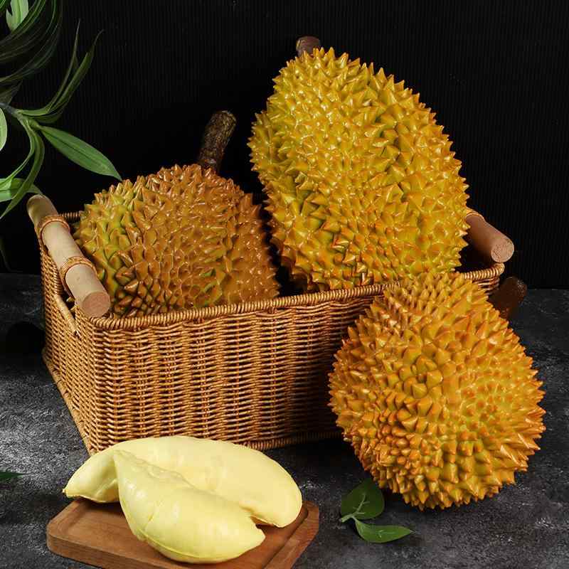 食品サンプル ドリアン 猫山王種 果肉 リアル 精巧 フェイクフルーツ 店舗装飾 ディスプレイ ショーケ..