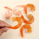 食品サンプル PVC製 リアル むきエビ 模型 精巧 ディスプレイ 飲食店 店舗 メニュー レストラン用 撮影小道具 展示用 フェイクフード(x5)
