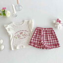 キッズ 女の子 ベビー Tシャツ ショートパンツ 上下セット キャラクター うさぎ プリント 半袖 クルーネック トップス 肌に優しい 綿 コットン おしゃれ かわいい 定番 チェック柄 短パン 春夏 韓国子供服 お出かけ 部屋着