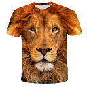 Tシャツ メンズ 吸汗速乾 通気性 ゆったり ルーズフィット ビッグシルエット 半袖 ライオン柄 3Dデジタルプリント カジュアル ストリート系 普段着 スポーツウェア ポリエステル素材 春夏(x2)