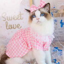 ペット服 犬服 猫服 レース襟 ドレス ワンピース かわいい おしゃれ インスタ映え 変身服 コスチューム ポリエステル素材 小型犬 中型犬 お出かけ 記念撮影
