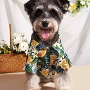 犬服 猫服 犬猫兼用 春夏 リゾート風 フルーツ オレンジ ヤシの葉柄 シャツ ポリエステル素材 軽量 通気性 かわいい おしゃれ お散歩 お出かけ