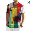 POLOシャツ メンズ 吸湿速乾 通気性 3Dプリント 格子柄 切り替え 半袖 ルーズフィット カジュアル ストリート ファッション ポリエステル素材(4)