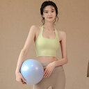 スポーツブラ レディース 揺れない 高サポート ランニング ヨガ フィットネス トレーニング ノンワイヤー ホルターネック 美背デザイン タンクトップ ジム 吸汗速乾 ナイロン混 オールシーズン