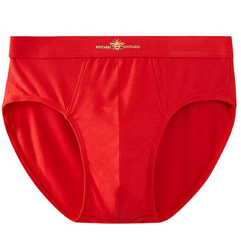 三角パンツ メンズ 綿100% 通気性抜群 快適 フィット感 大きいサイズ ミドルライズ オールシーズン 普..