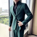 スーツ メンズ 防シワ オールシーズン ビジネス カジュアル スリムフィット ワッフル柄 グリーン ツーピース セットアップ シングルブレスト 2つボタン 混紡素材 高級感