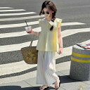 セットアップ 女の子 キッズ 半袖 フリル袖 ブラウス ワイドパンツ 薄手 軽量 綿素材 無地 ゆったり 肌触り良い カジュアル 春夏 ルームウェア ツーピース