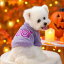 ペット服 ハロウィン コスチューム 秋冬 犬 猫 ドッグウェア キャットウェア 仮装 変身 衣装 パーティ..