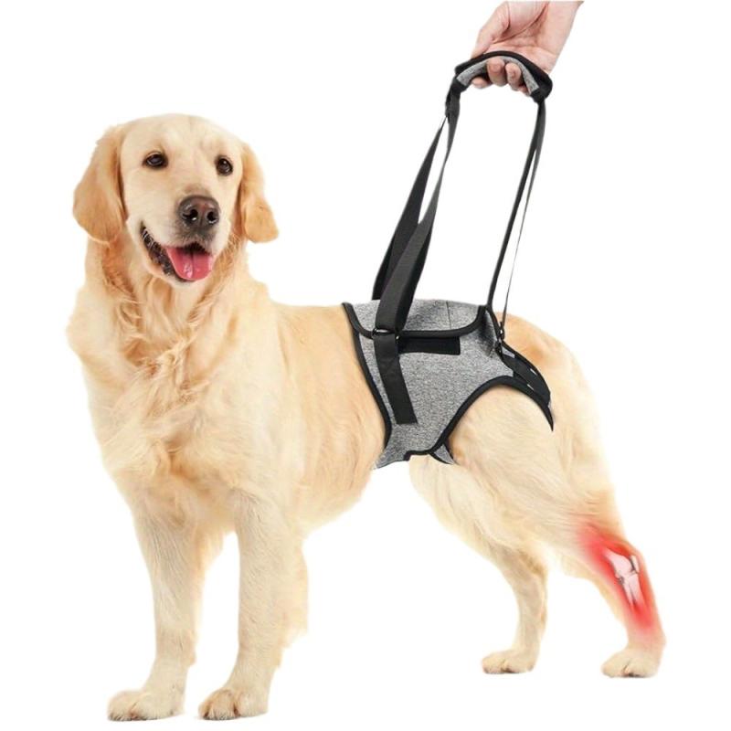 Flexible Leashes - 犬用ハーネス 老犬 介護 歩行補助 後ろ足 サポート 負傷犬 リハビリ 介助ベルト 伸縮性 ポリエステル グレー S M L XL