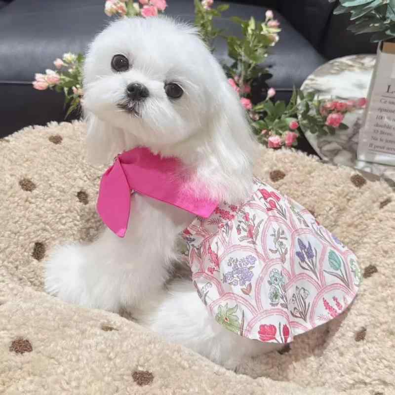 ペットウェア 小型犬 シーズー マルチーズ シュナウザー 薄手 ポリエステル 花柄 アイリス ワンピース 春夏秋 お散歩 お出かけ かわいい プリンセス風