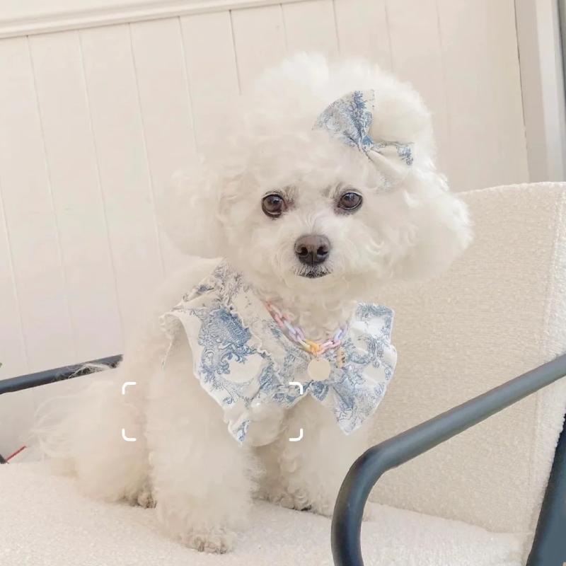 犬猫用ベストハーネス 韓国風 かわいい レース リボン 小型犬 子犬 猫 お散歩用 胴輪 リードセット 軽量 ポリエステル素材 抜けにくい ブルー グリーン おしゃれ